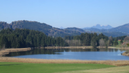 Erfolgreiche "Belebung" des Kaltenbrunner Sees seit 1999